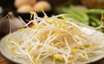 做豆芽的作文6篇