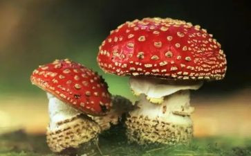 读禁毒法心得体会6篇