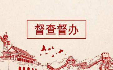 校督查工作总结范文6篇