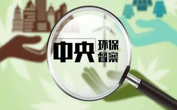 督查科年度工作总结5篇