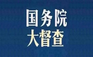 督查科的工作总结参考5篇