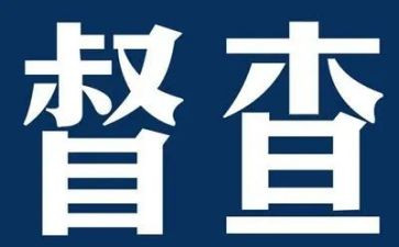 督察工作年度总结5篇