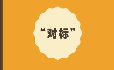 对标教学心得体会参考5篇