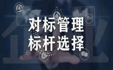 对标管理工作总结优秀7篇