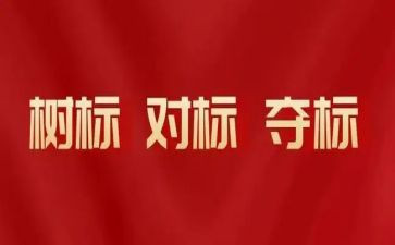 对表对标心得体会参考5篇