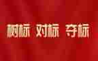 对表对标心得体会参考5篇