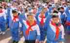 2024少先队员入队申请书通用5篇