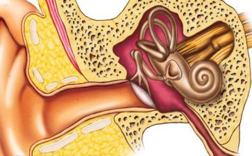耳鼻喉科月总结通用7篇