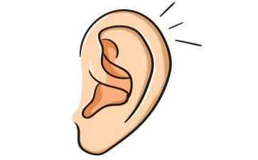 我耳边的声音作文8篇