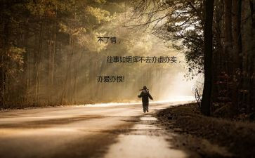 深圳改革开放的心得体会8篇