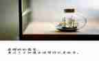 放飞梦想演讲稿600字8篇