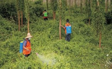 大气污染防治工作汇报材料7篇