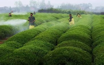 艾滋病防治的心得体会6篇