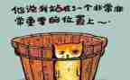活动总结与反思精选7篇