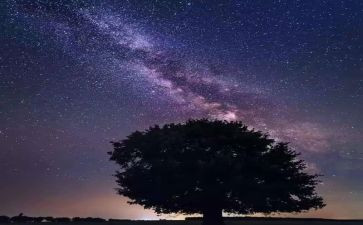 繁星71繁星131繁星159读后感模板5篇