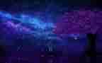 读繁星的读后感300字8篇