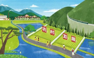 3-6岁儿童学习与发展指南心得体会800字模板7篇