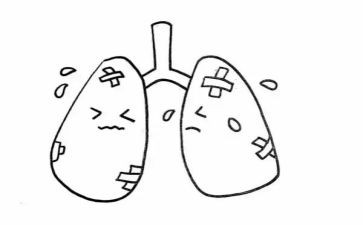 有关肺的演讲稿精选8篇
