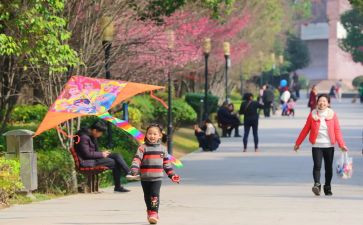 幼儿园放风筝亲子活动方案6篇