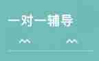 1对1辅导心得体会参考6篇