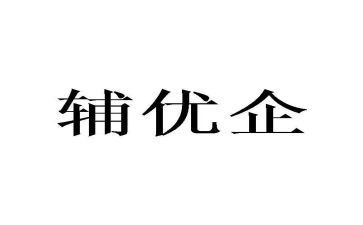 辅优工作总结5篇