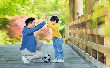 父与子读书心得体会精选6篇