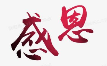 关于老师感恩的演讲稿参考8篇
