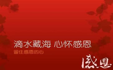 关于感恩节的演讲稿800字7篇