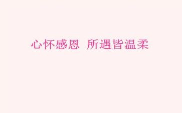 2023关于感恩的演讲稿优秀5篇