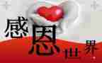 感恩的老师演讲稿300字6篇