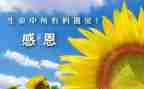 感谢谁作文8篇