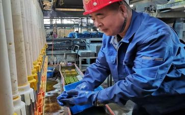 工段长述职报告7篇