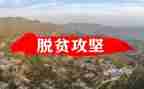 2024年百日攻坚工作总结7篇
