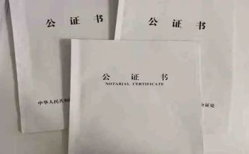 粤公证申请书8篇