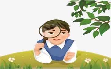观察小猫作文8篇