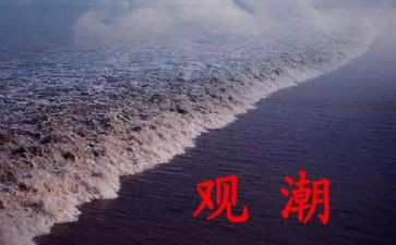 观潮教学心得推荐5篇