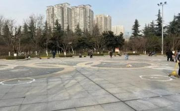 广场舞的心得参考5篇