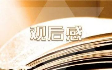 纪念长征胜利80周年观后感6篇