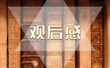 2024315晚会观后感优质8篇