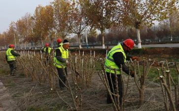 路产管护年终总结7篇