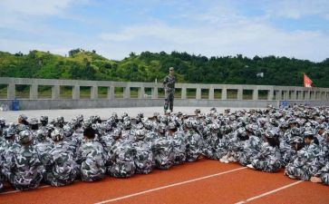 观训心得体会400字7篇