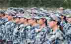 观训心得体会400字模板7篇