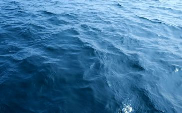 《海蒂》读后感8篇
