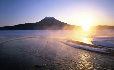 上海劳动合同模板6篇