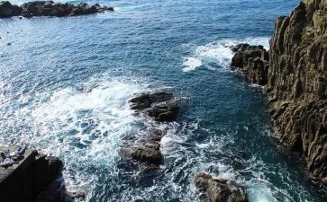 海关法心得体会7篇