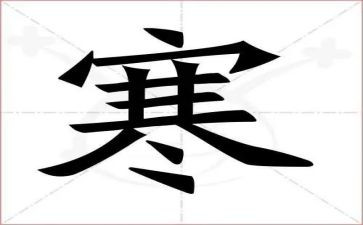 2023年寒假实践活动心得体会5篇