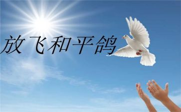 走和平发展心得体会7篇