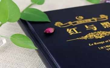 红与黑读后感800字7篇