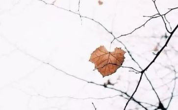 后盾单位驻村工作总结8篇