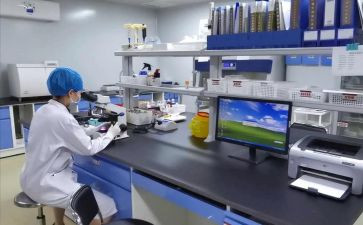 贷后检查工作报告模板6篇